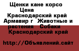 Щенки кане корсо › Цена ­ 20 000 - Краснодарский край, Армавир г. Животные и растения » Собаки   . Краснодарский край